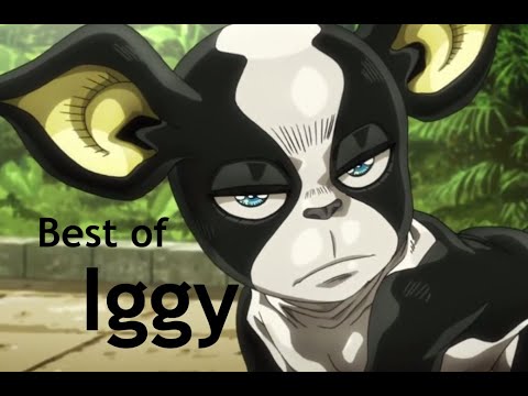 Best of Iggy